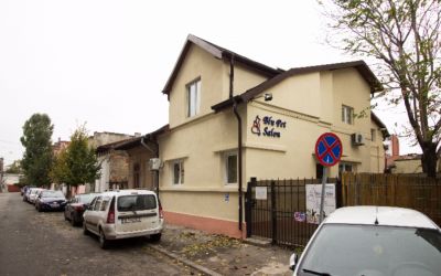 Salon Canin BluPet Bucuresti | Frizer canin profesionist